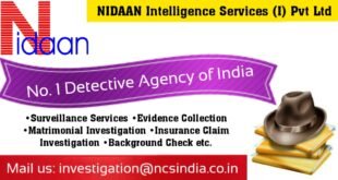 NIDAAN Intelligence Services (I) Pvt Ltd logo