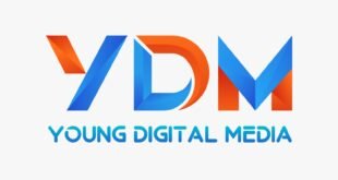 Young Digital Media: A Pioneer in Social Media Marketing Excellence.