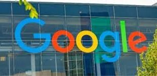 Google's News Division Faces Layoffs, Drawing Concerns for Information Ecosystem