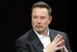 Elon Musk: Tesla's Entry into India a "Natural Progression" Towards Electric Mobility