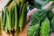 Indian Grocery Prices in London Shock Internet: Bhindi for ₹650 per Kg