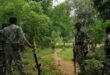 Villager to Receive ₹86 Lakh Reward for Tip-Off Leading to Gadchiroli Maoist Encounter