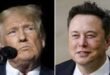 Elon Musk Responds to Trump's Offer of an Advisory Role in Potential Future Administration