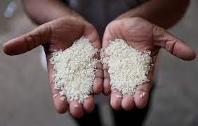 India Lifts Ban on Non-Basmati White Rice Exports, Hailed as Game-Changer for Agricultural Sector