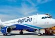 IndiGo Airlines Faces Technical Glitch, Leading to Long Check-In Queues and Booking Issues