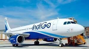 IndiGo Airlines Faces Technical Glitch, Leading to Long Check-In Queues and Booking Issues