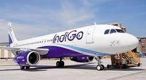 Entrepreneur Claims Her Mother Was Robbed on IndiGo Flight, Airline Responds to Allegations