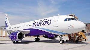 Entrepreneur Claims Her Mother Was Robbed on IndiGo Flight, Airline Responds to Allegations