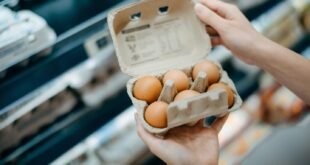 Americans Smuggling Eggs from Mexico as Prices Soar Amid Shortages