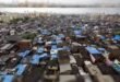 SC to Review Maharashtra’s Award of Dharavi Redevelopment Project to Adani Group