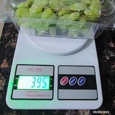 Blinkit Customer Alleges Weight Discrepancies in Orders, Company Responds