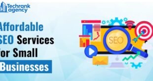 TechRank Agency – Delhi NCR’s Trusted SEO & Digital Marketing Company
