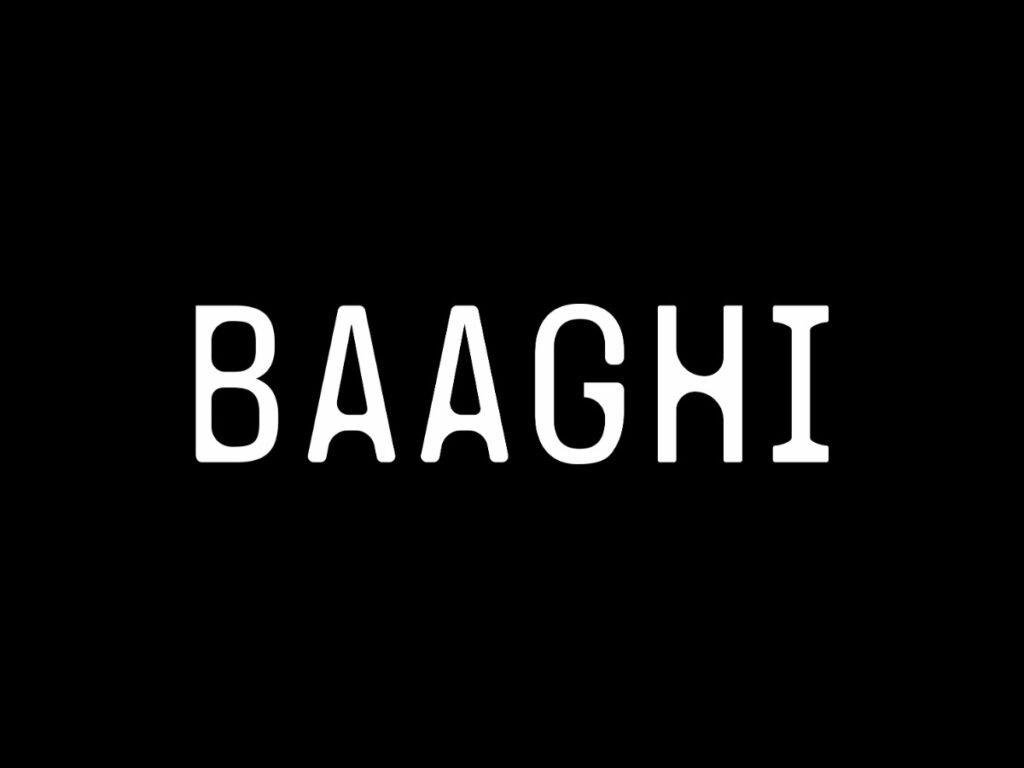 Baaghi Productions: An Independent Platform for Authentic Music Expression
