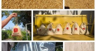 Why Searches for "Atta Chakki Near Me" Are Rising Across India as Consumers Move Away from Packaged Flour Bina, Madhya Pradesh – June 2026: