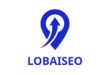 Google Business Profile for Hotels | Increase Direct Bookings – LOBAISEO