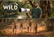 Photographer Diwakar: From Formals to Camouflage, Following His Heart into the Wild.